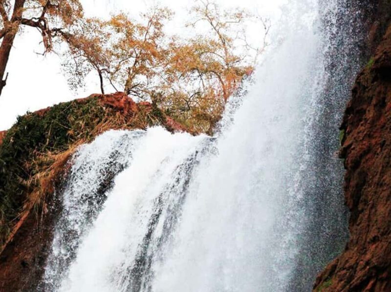 From Marrakech: Private Ouzoud Falls & Boat Ride Day Trip - Returning to Marrakech