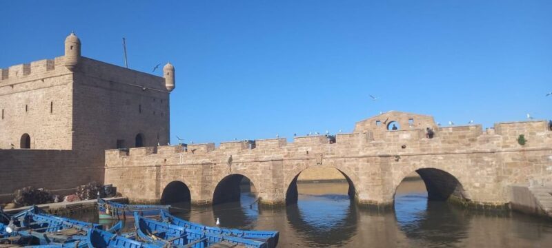 From Marrakech: Small Group To Essaouira & Medina Day Trip - Key Points
