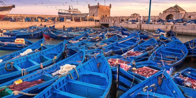 From Marrakech: Small Group To Essaouira & Medina Day Trip - Discovering the Cultural and Artistic Heart