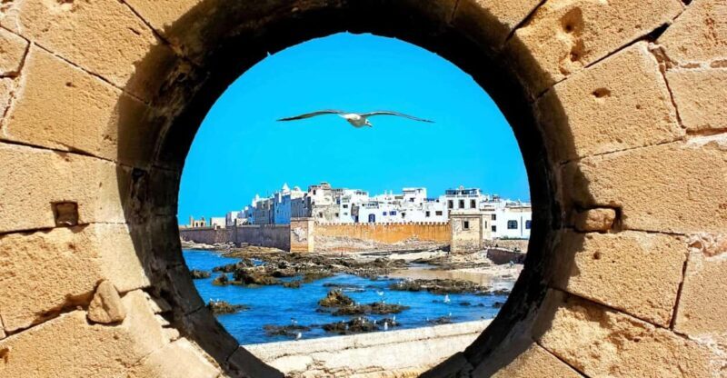 From Marrakech: Small Group To Essaouira & Medina Day Trip - The Argan Oil Cooperative
