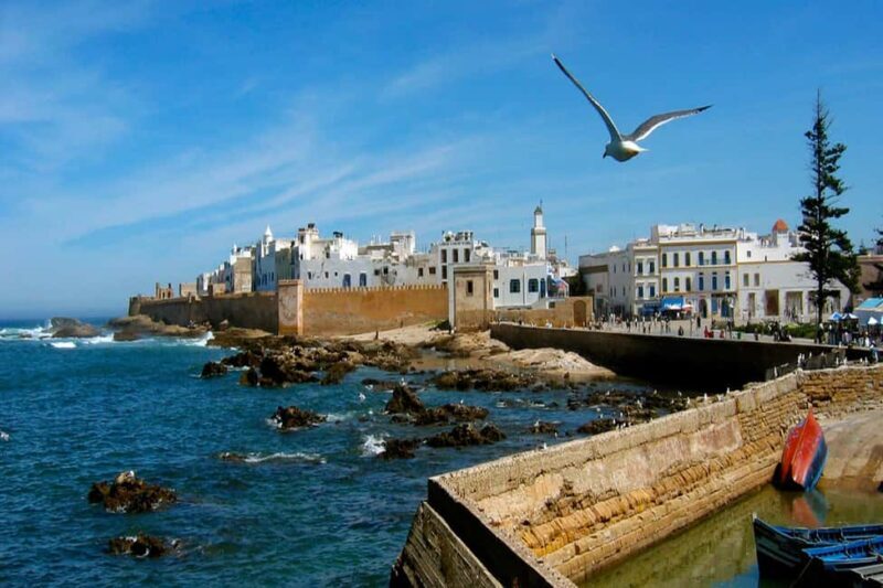From Marrakech: Small Group To Essaouira & Medina Day Trip - Lunch and Beach Strolls