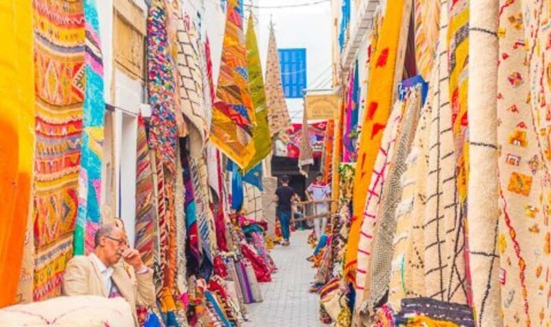 From Marrakech: Small Group to Essaouira & Sekkala Day Trip - Key Points