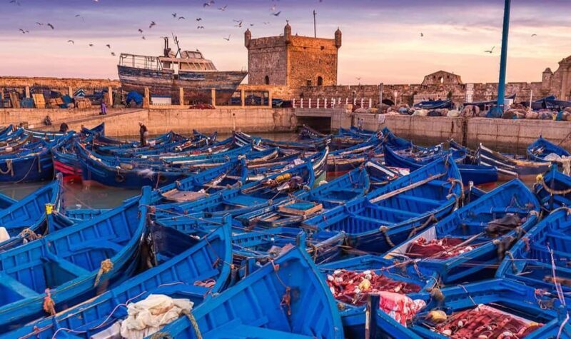 From Marrakech: Small Group to Essaouira & Sekkala Day Trip - Who Will Love This Tour?