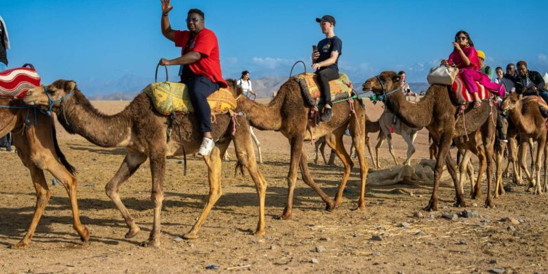 From Marrakech: Sunset Desert Tour with Camel Ride & Dinner - Who Will Love This Tour