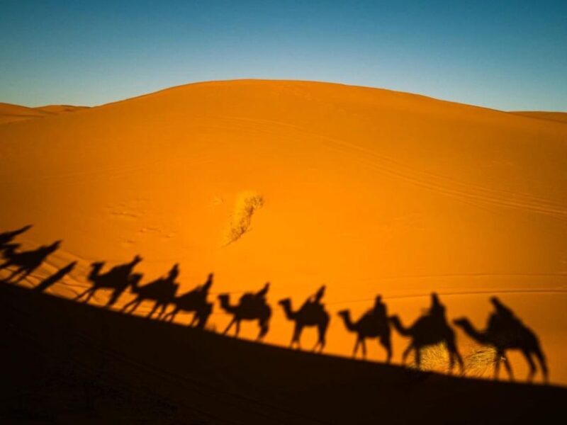From Marrakech to Chefchaouen via Sahara Desert and Fes - Authentic Experiences, Not Just Sightseeing