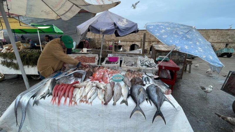 From Marrakech to Essaouira coast day tour - Who This Tour Is Best For