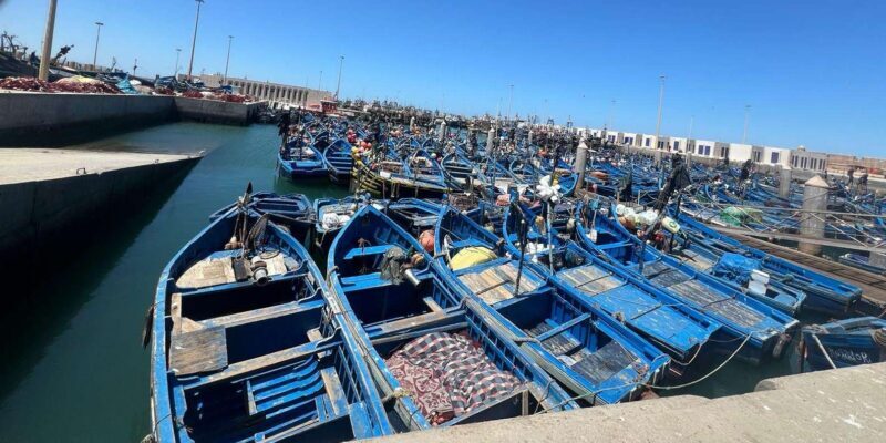 From Marrakech: To Essaouira Explorer Day Adventure - Practical Tips for Travelers