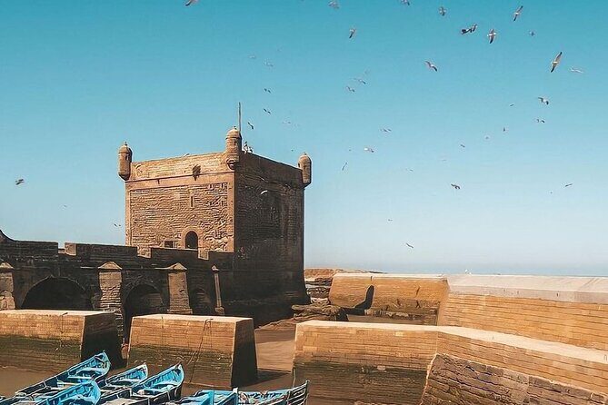 From Marrakech To Essaouira Mogador Full Day Trip | Small-group - The Return Trip and Overall Value