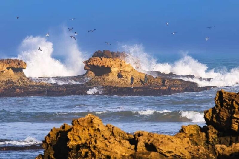 From Marrakech To Essaouira Mogador Full Day Trip Smallgroup - Detailed Breakdown of the Essaouira Day Trip