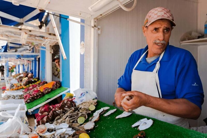 From Marrakech to Oualidia and Safi: A Coastal Day Trip - A Scenic Journey from Marrakech to Morocco’s Atlantic Coast