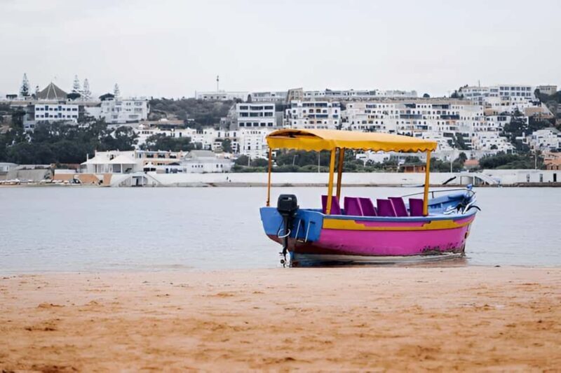 From Marrakech to Oualidia and Safi: A Coastal Day Trip - The Return Journey: Reflecting on a Day Well-Spent