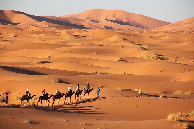 From Marrakech to Sahara Merzouga - 3 Days Trip - Authentic Experiences and Traveler Feedback