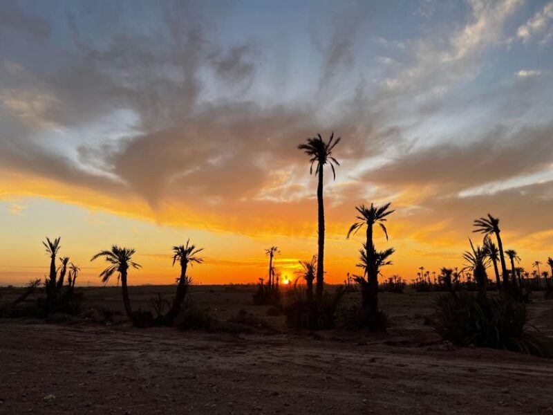 From Marrakech Tours: 2 Hours Desert Quad Bike Adventure - The Value of This Experience