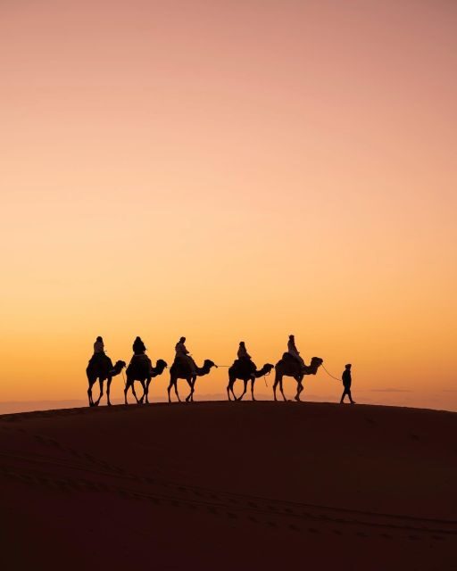 From Marrakech: Unforgettable 3-Day Desert Tour to Fes - An In-Depth Look at the 3-Day Itinerary