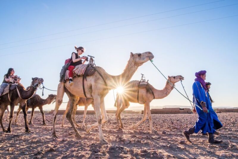 From Marrakech: Zagora 2-Day Desert Safari with Food & Camp - Key Points