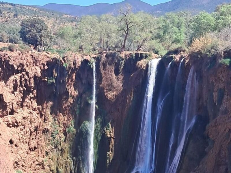 From Marrakech:Ouzoud Waterfalls Day Trip with Boat Tour - The Sum Up