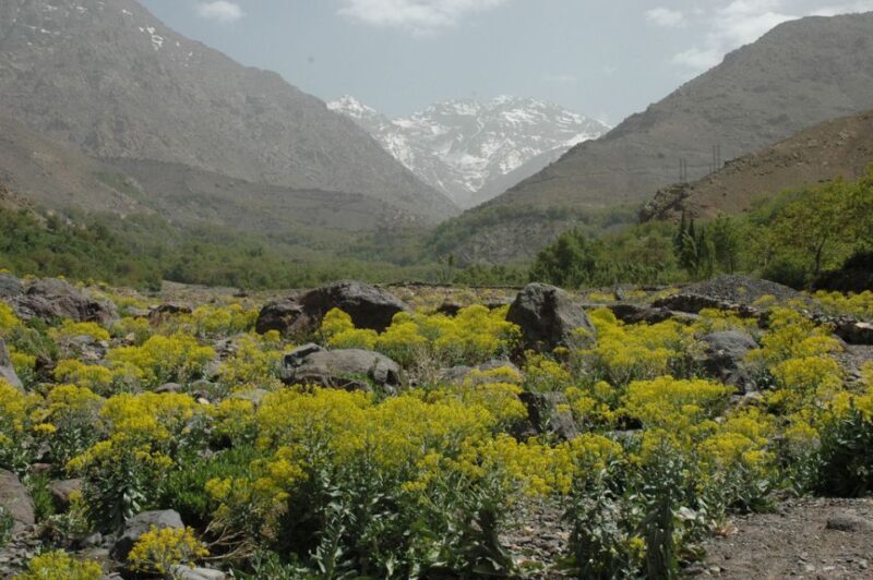 From Marrakesh: 3-Day Trip to Berber Villages - Who Will Love This Trip?
