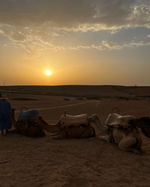 From Marrakesh: Agafay Desert Sunset, Camel Ride, and Dinne - Who Will Love This Tour?