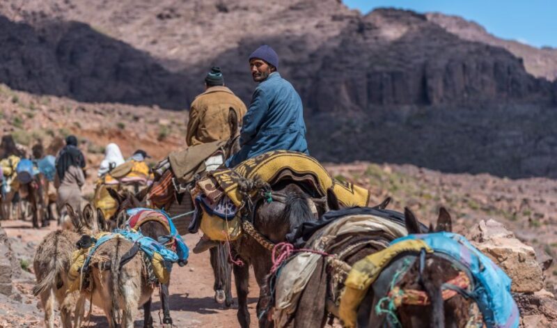 From Marrakesh: Atlas Mountains in Imlil Day Trip with Lunch - Key Points