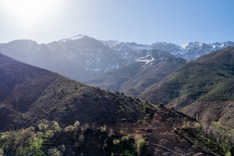 From Marrakesh: Atlas Mountains Talamrout Summit Day Hike - What Travelers Say About This Experience