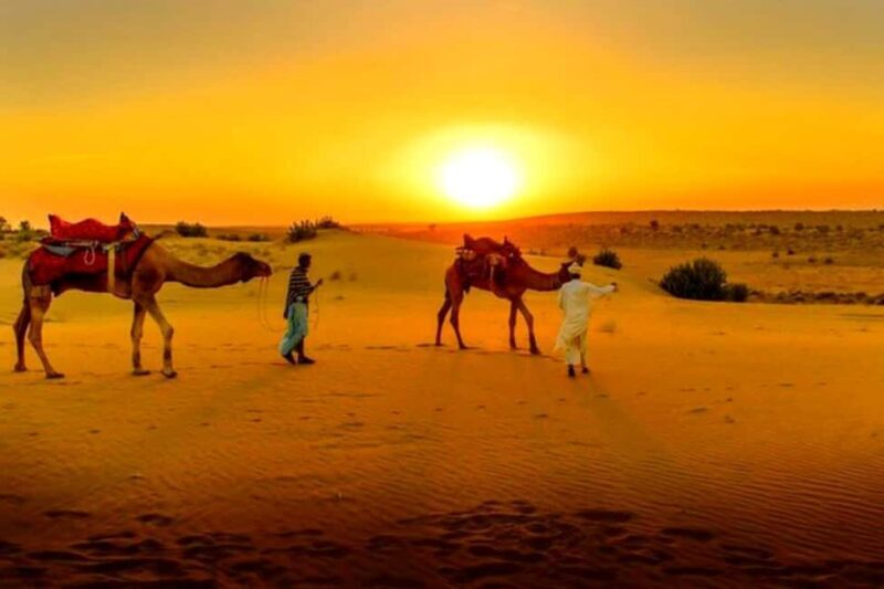 From Marrakesh: Dinner Agafay Desert Sunset, Stars And Show - Introducing the Agafay Desert Dinner Experience
