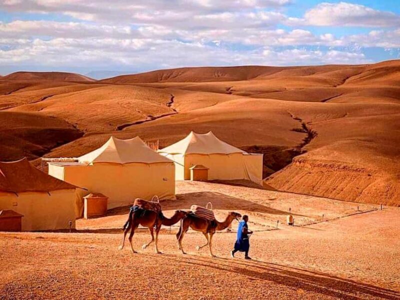From Marrakesh: Dinner Agafay Desert Sunset, Stars And Show - Whats Included and What to Consider