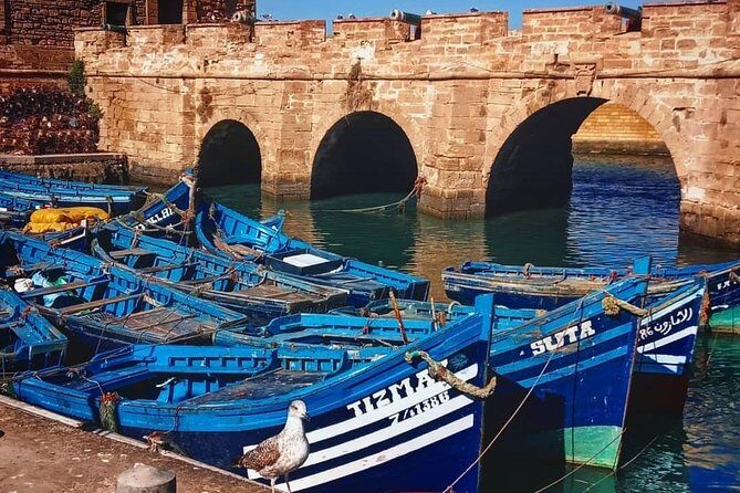 From Marrakesh: Essaouira Full-Day Trip - Exploring the Old Port and Seafood Markets