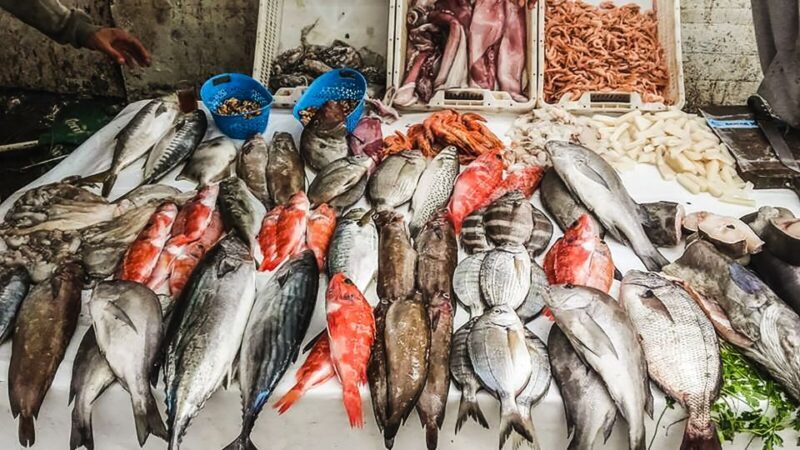 From Marrakesh: Essaouira Full-Day Trip - Who Will Love This Trip?