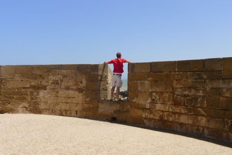 From Marrakesh: Essaouira Full-Day Trip - The Sum Up