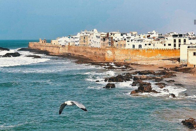 From Marrakesh: Full Private Day Tour To Essaouira Mogador - The Itinerary Breakdown: What You Can Expect
