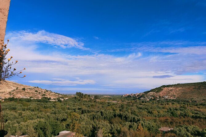 From Marrakesh: Ourika Valley and Atlas Mountains Private Tour - The Sum Up
