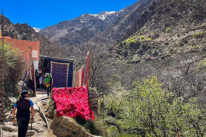 From Marrakesh: Ourika Valley and Atlas Mountains Private Tour - FAQ (Frequently Asked Questions)