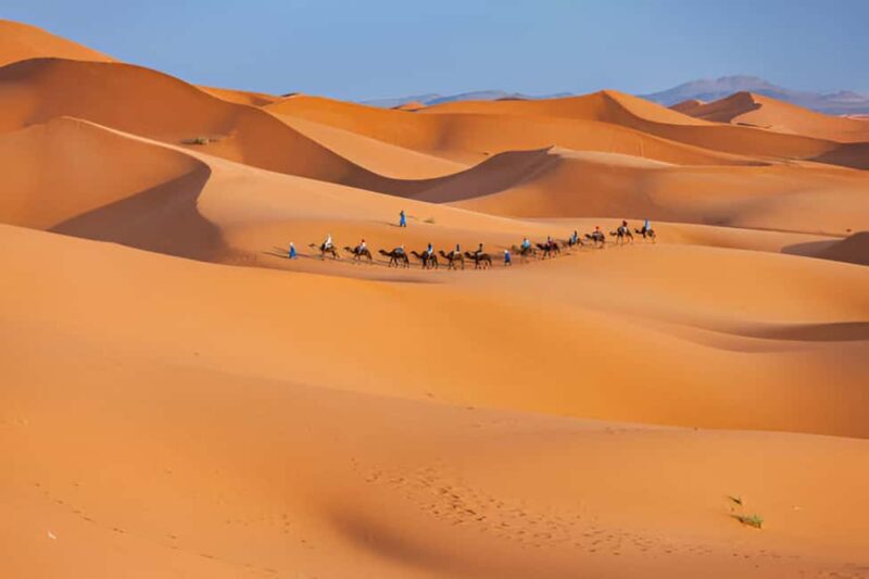 From Marrakesh: Private 4-Day Sahara Desert Discovery Tour - The Value and Who This Tour Is Best For
