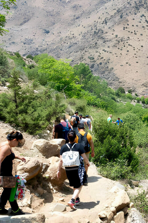 From Marrakesh: Private Atlas Mountains Day Trip {5-Valleys} - Final Thoughts
