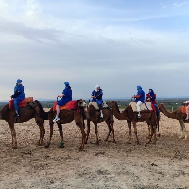 From Marrakesh: Sunset Camel Ride in the Agafay Desert - An In-Depth Look at the Sunset Camel Ride Experience