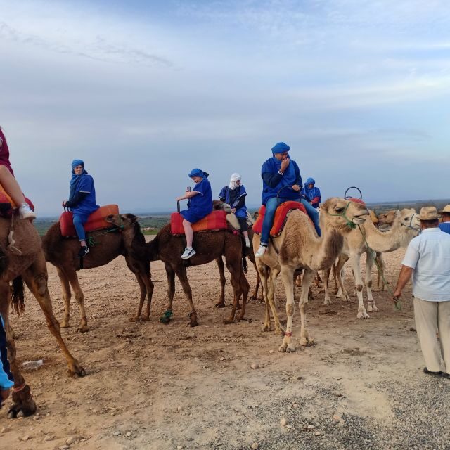 From Marrakesh: Sunset Camel Ride in the Agafay Desert - FAQ: Your Questions About the Agafay Sunset Camel Ride