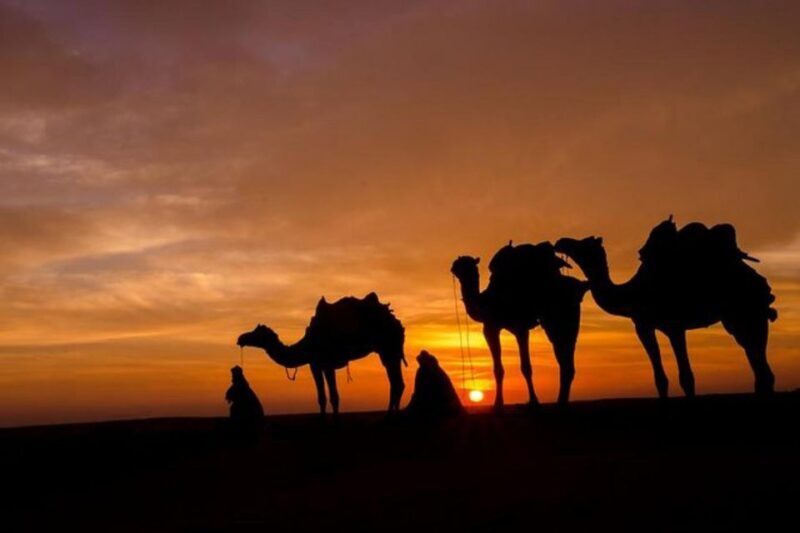 From Marrakesh: Sunset Dinner in Agafay at Berber Camp - Final Thoughts