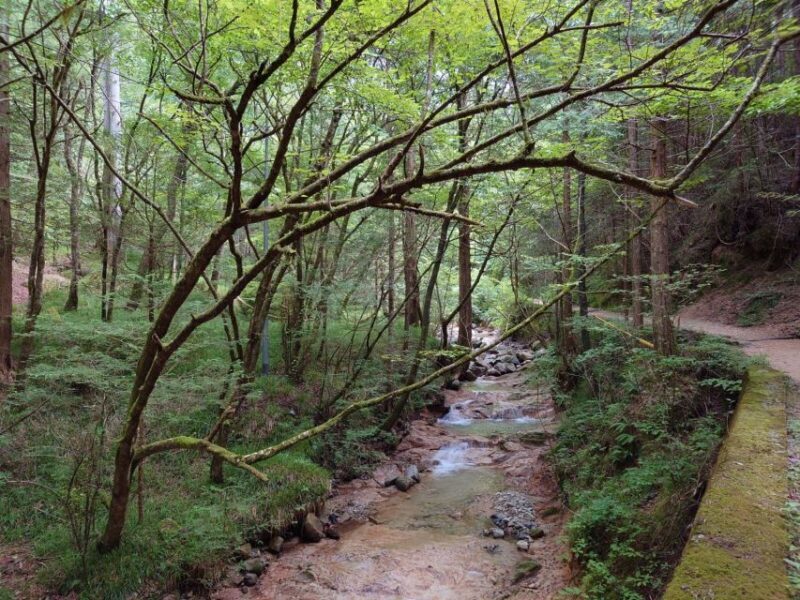 From Matsumoto/Nagano: Nakasendo Trail Walking Tour - Return Journey and Practicalities