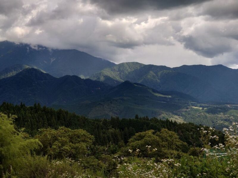 From Matsumoto/Nagano: Nakasendo Trail Walking Tour - Who Will Love This Tour?