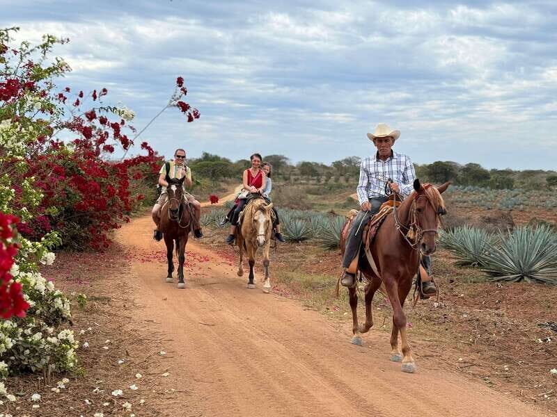 From Mazatlan: ATV & Horse Back riding with Tequila Tasting - From Mazatlan: ATV & Horse Back Riding with Tequila Tasting – A Complete Mexican Adventure