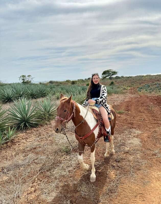 From Mazatlan: ATV & Horse Back riding with Tequila Tasting - Practical Details and Value