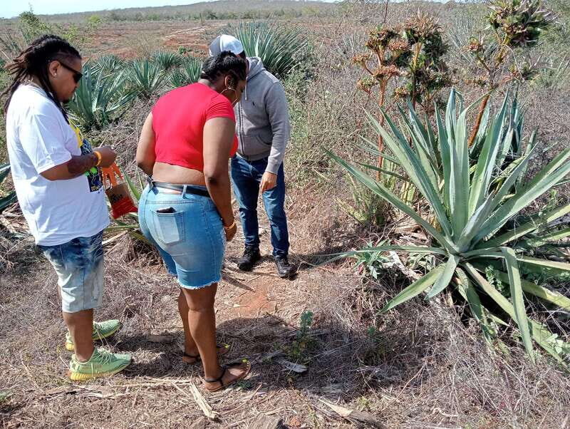 From Mazatlan: ATV & Horse Back riding with Tequila Tasting - Who Is This Tour Best For?