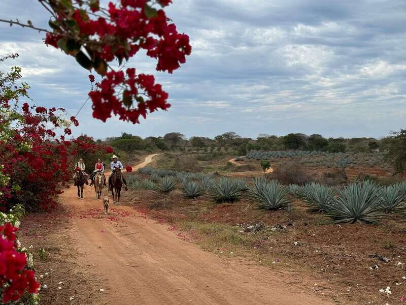 From Mazatlan: ATV & Horse Back riding with Tequila Tasting - FAQ