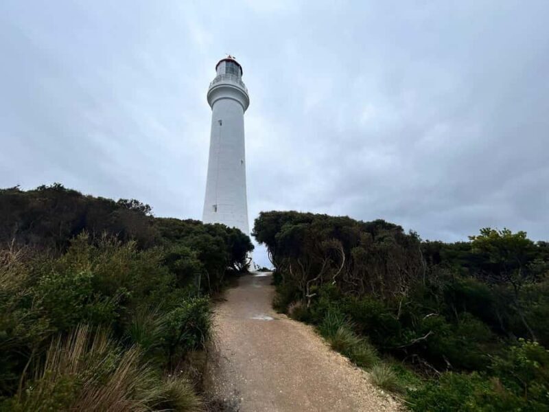 From Melbourne: 12 Apostles & Great Ocean Road Private Tour - What the Reviews Say