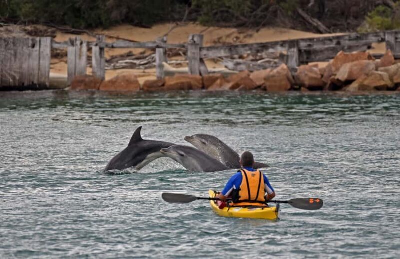From Melbourne: 5-Day Victorian Alps & Gippsland Lakes Trip - Final Thoughts