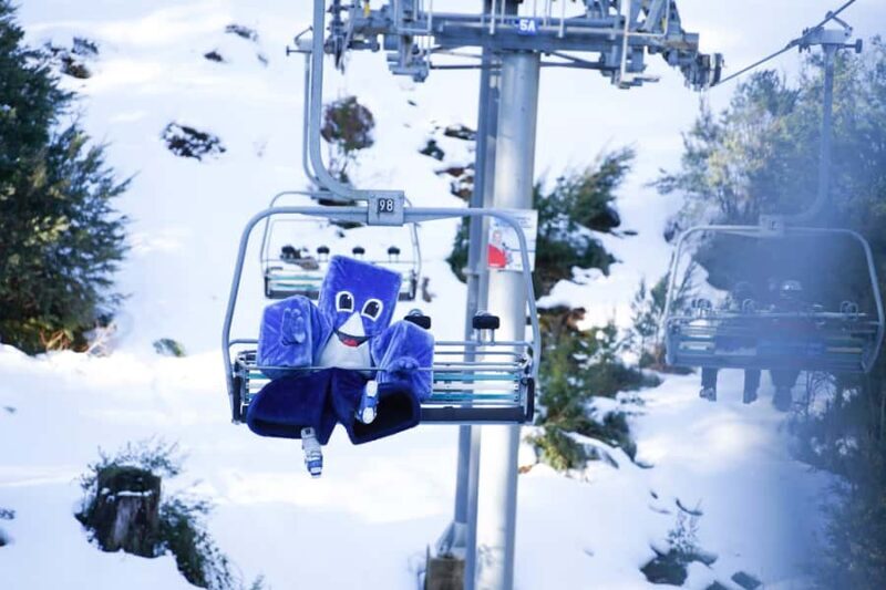From Melbourne: Day Trip to Mt Buller by Premium Tour Coach - Who Should Consider This Tour?