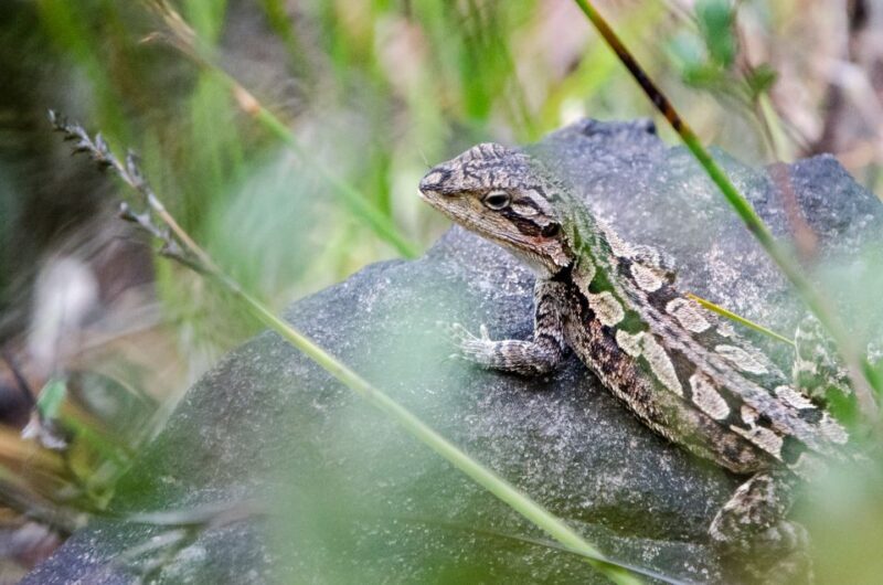 From Melbourne: Grampians National Park Small Group Tour - Final Thoughts