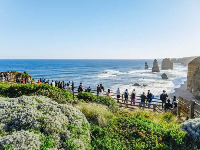 From Melbourne: Great Ocean Road, 12 Apostles, Wildlife Tour - What the Reviews Reveal