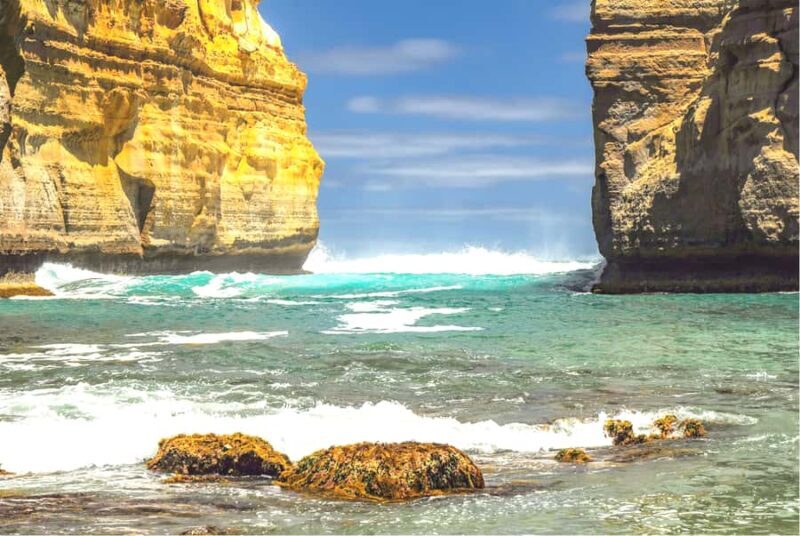 From Melbourne: Great Ocean Road and Twelve Apostles Tour - A Detailed Breakdown of the Experience