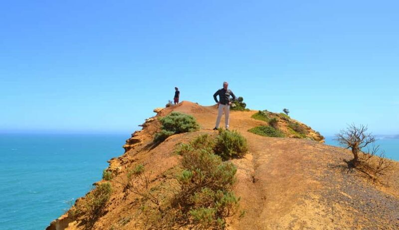 From Melbourne: Great Ocean Road Day Trip with Dinner - Who Will Love This Tour?
